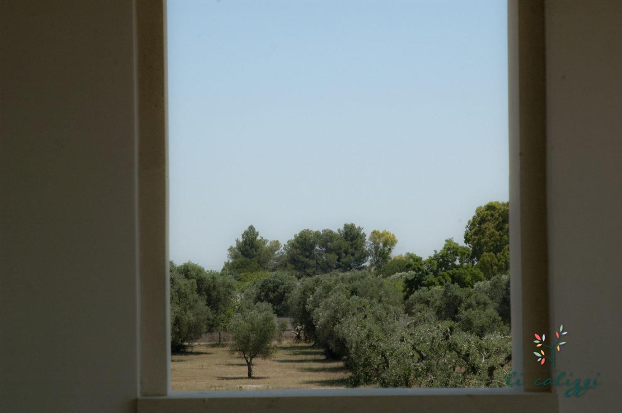 Agriturismo Li Calizzi Arte E Natura Novoli Pokoj fotografie
