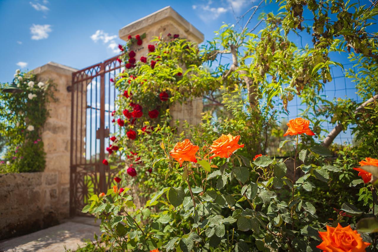 Agriturismo Li Calizzi Arte E Natura Novoli Exteriér fotografie